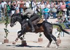 Pferd International 190